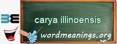 WordMeaning blackboard for carya illinoensis